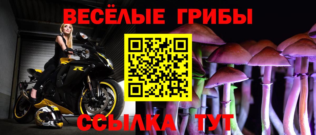 Галлюциногенные грибы MAGIC MUSHROOMS  Галлюциногенные грибы Magic Shrooms  Вход с VPN  Богородицк 